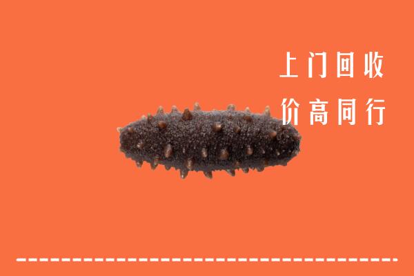 高价求购：梅州回收海参