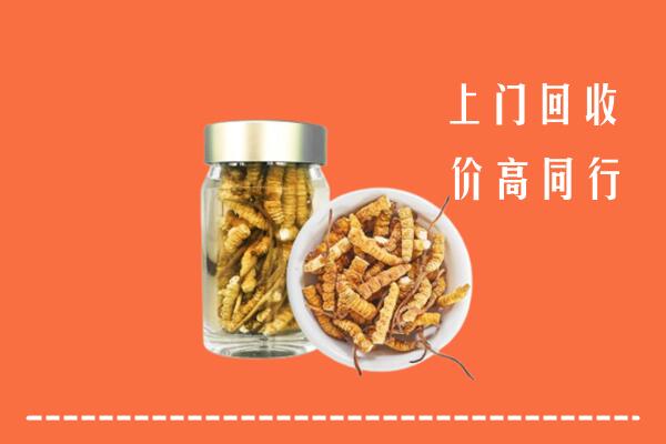 梅州高价回收冬虫夏草