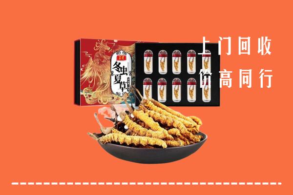 梅州高价回收虫草